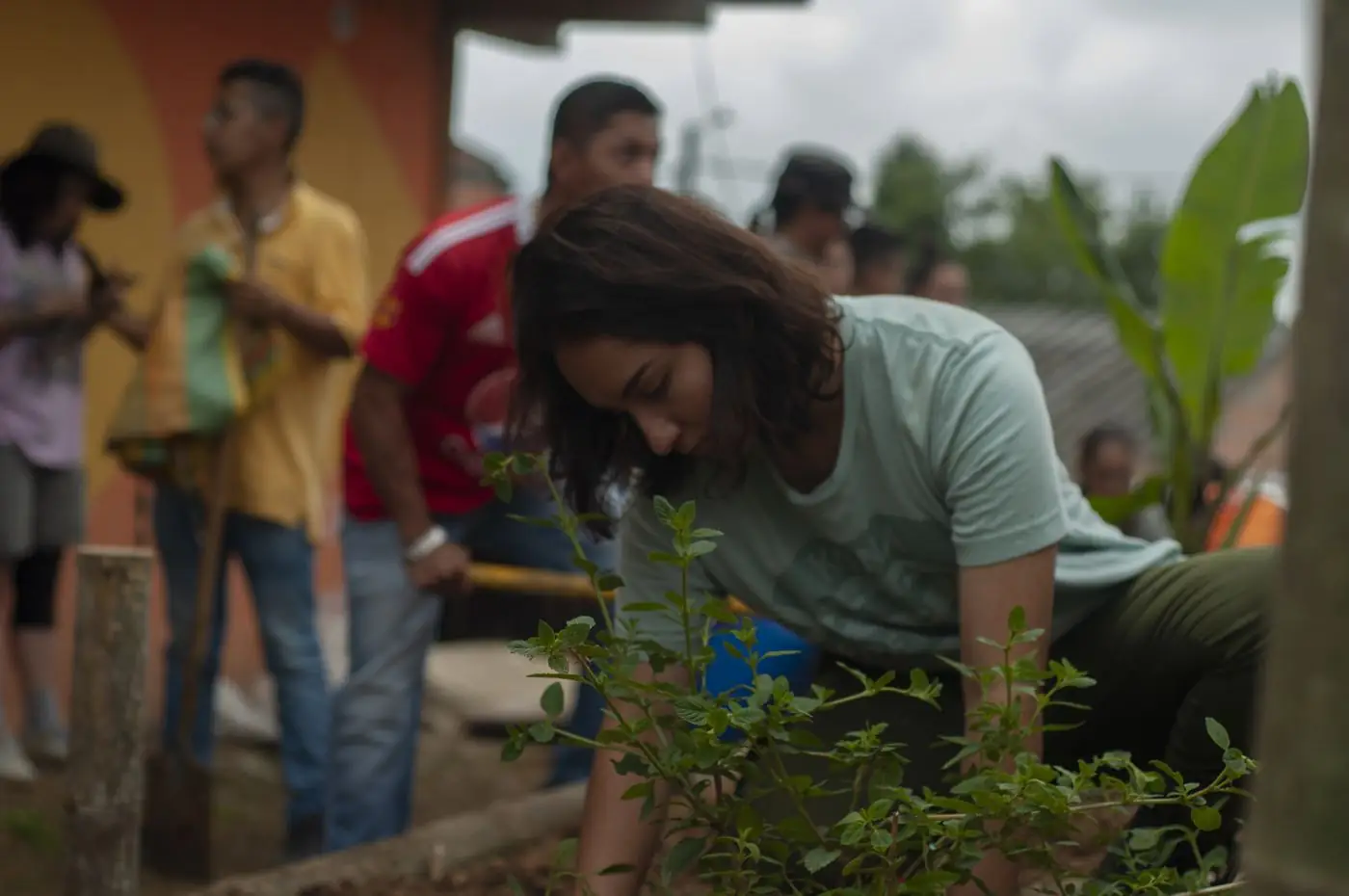 Sembrando menta en la huerta comunitaria