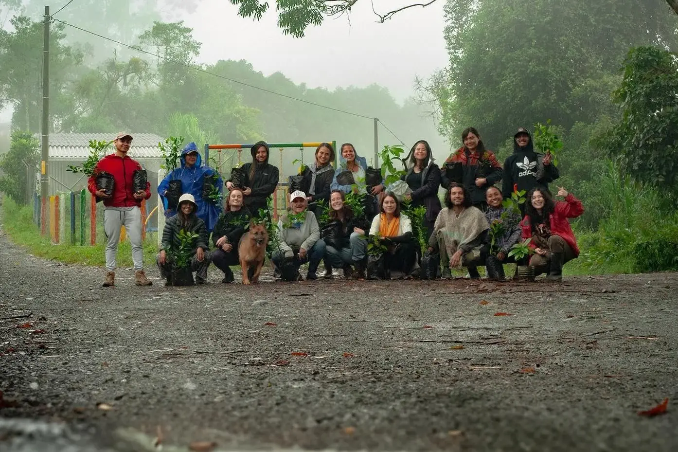 Grupo con plántulas bajo la niebla